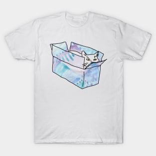 Cat in a MAGIC box T-Shirt